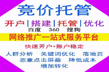 行业领先企业的SEM推广代运营实战经验